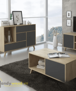 Alternative view of Tủ trang trí gỗ hiện đại TTR101