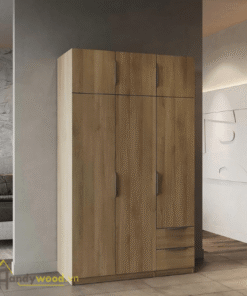 Tủ áo gỗ phong cách hiện đại TA105