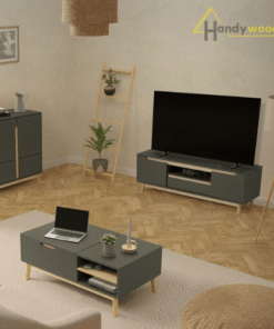 Kệ ti vi thiết kế độc đáo KTV109