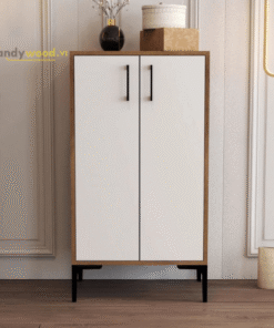 Tủ giày phối màu hiện đại TG105