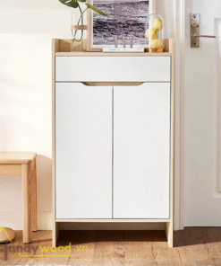 Tủ giày đẹp trang nhã TG111