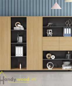 Tủ tài liệu thiết kế linh động TTL102